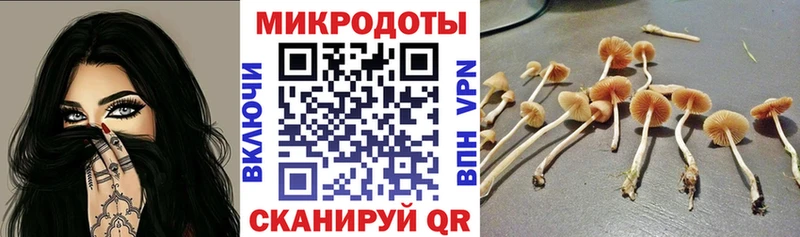 Галлюциногенные грибы мицелий  darknet Telegram  Медынь 