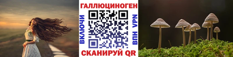 Псилоцибиновые грибы мицелий Медынь